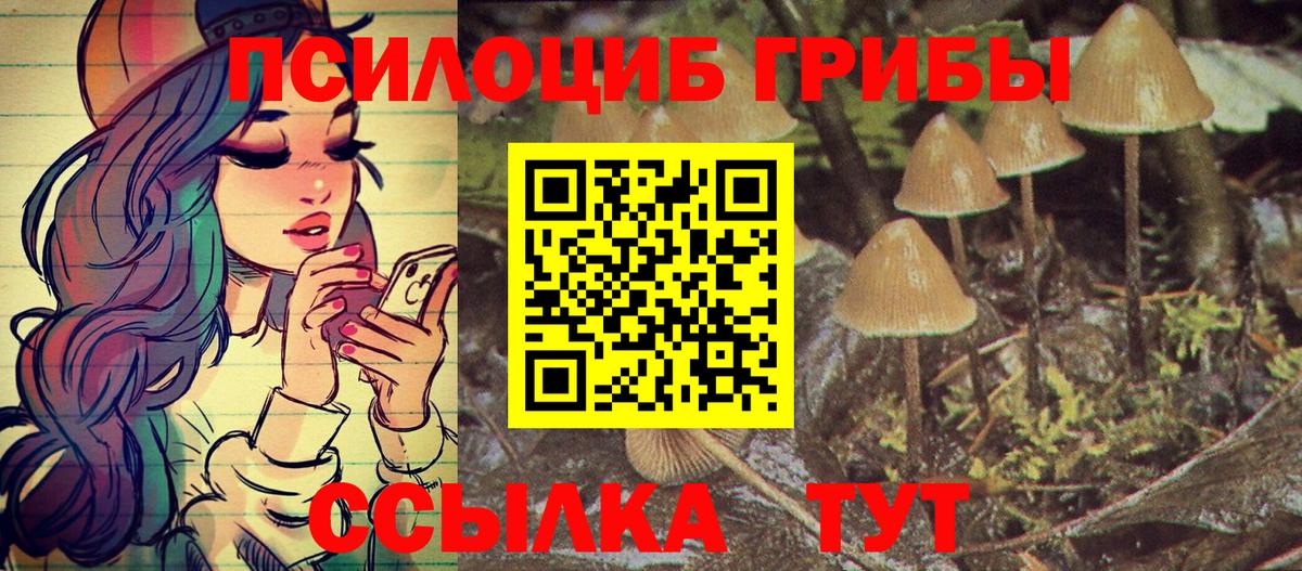 Городец  Псилоцибиновые грибы Psilocybe  Вход с VPN 