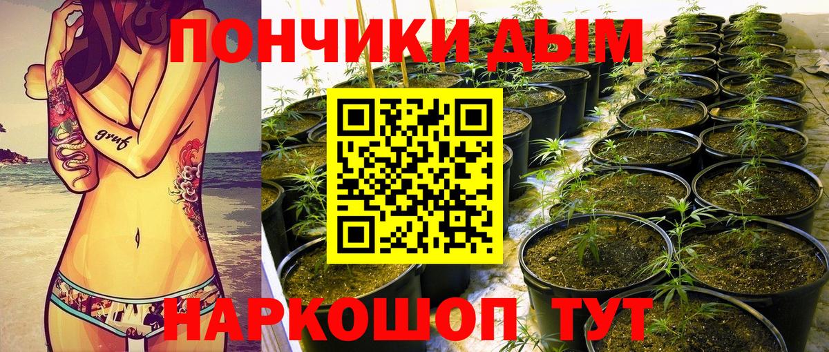 Городец  Каннабис семена  Бошки марихуана семена  Вход с VPN  Конопля THC 21% 